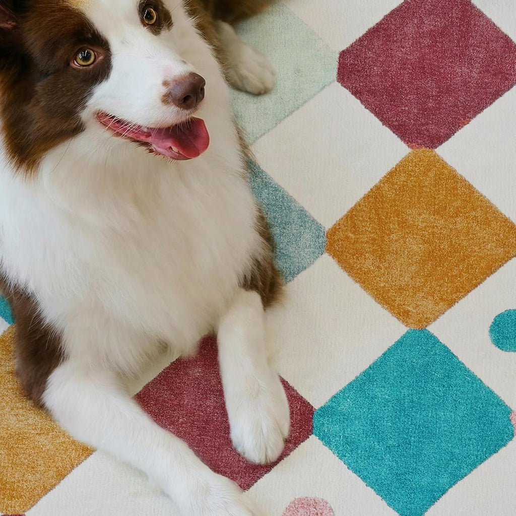 4x6 Kids Area Rug
