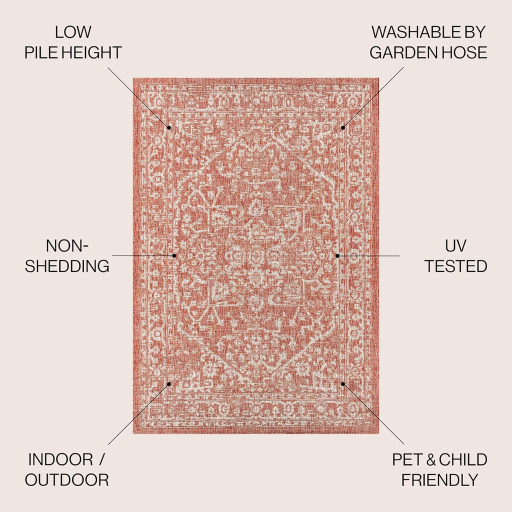 4X6 Boho Indoor Outdoor Rug